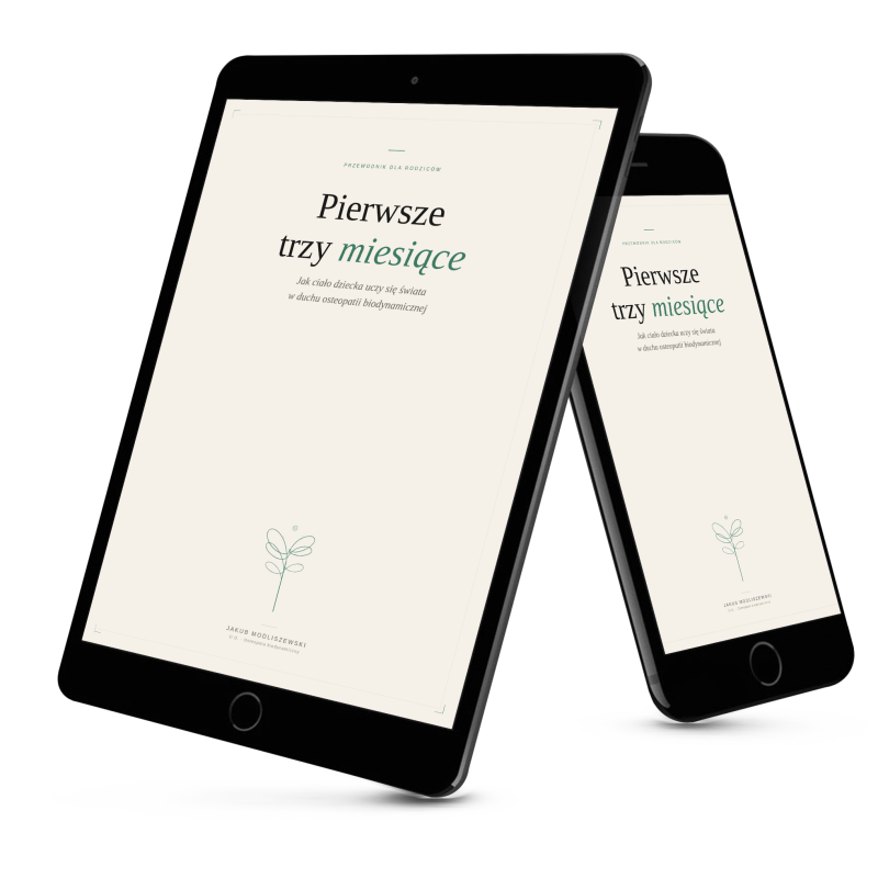 E-book Pierwsze trzy miesiące