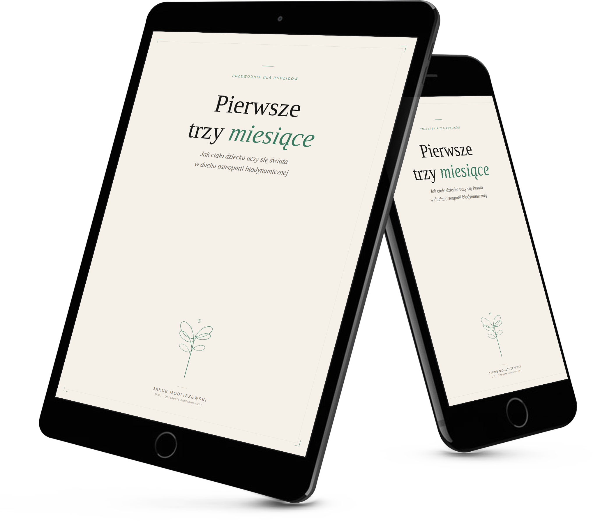 E-book Pierwsze trzy miesiące
