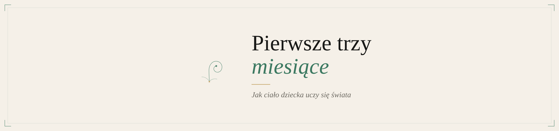 E-book Pierwsze trzy miesiące